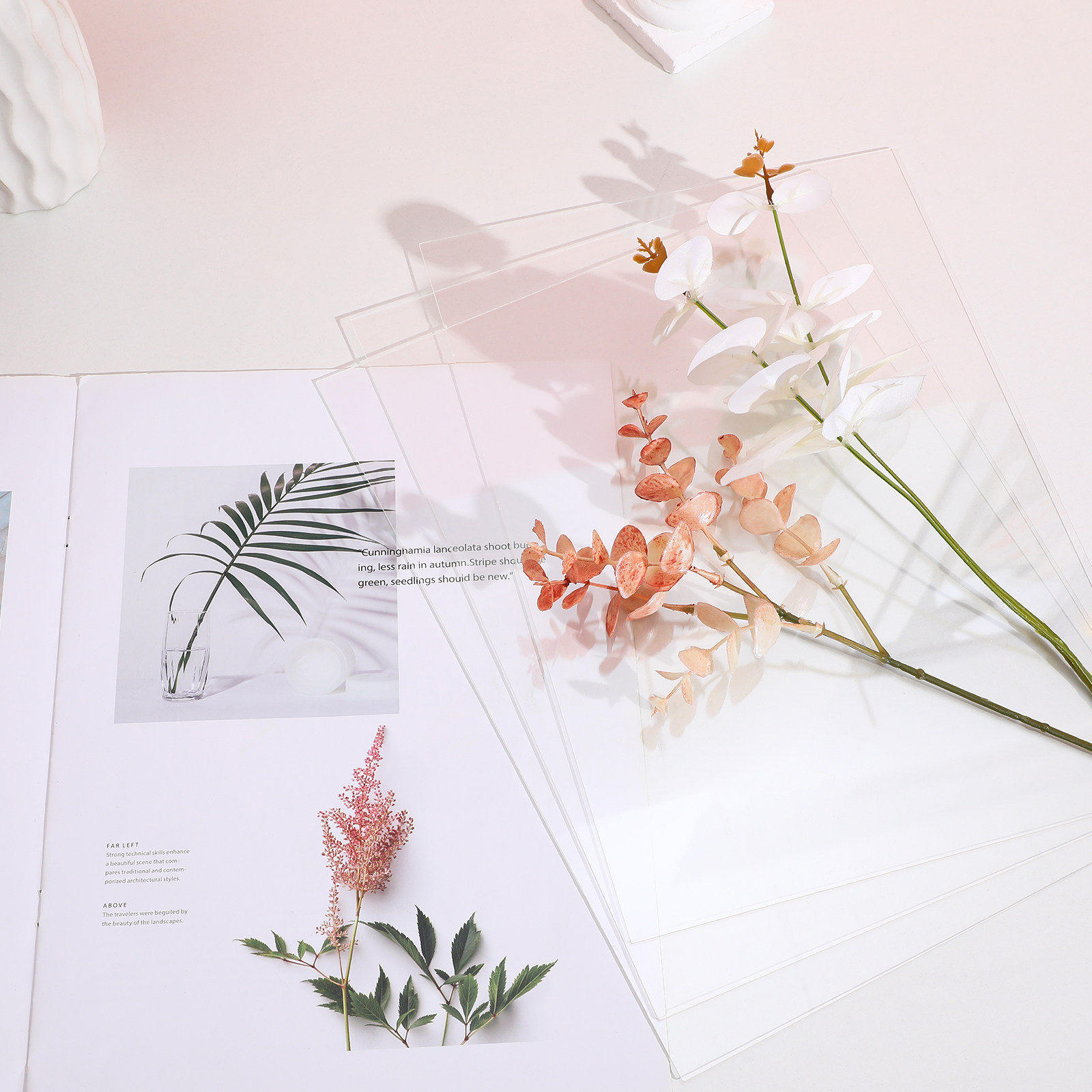 10 láminas de plástico transpa - Picture Frame reseña y precio
